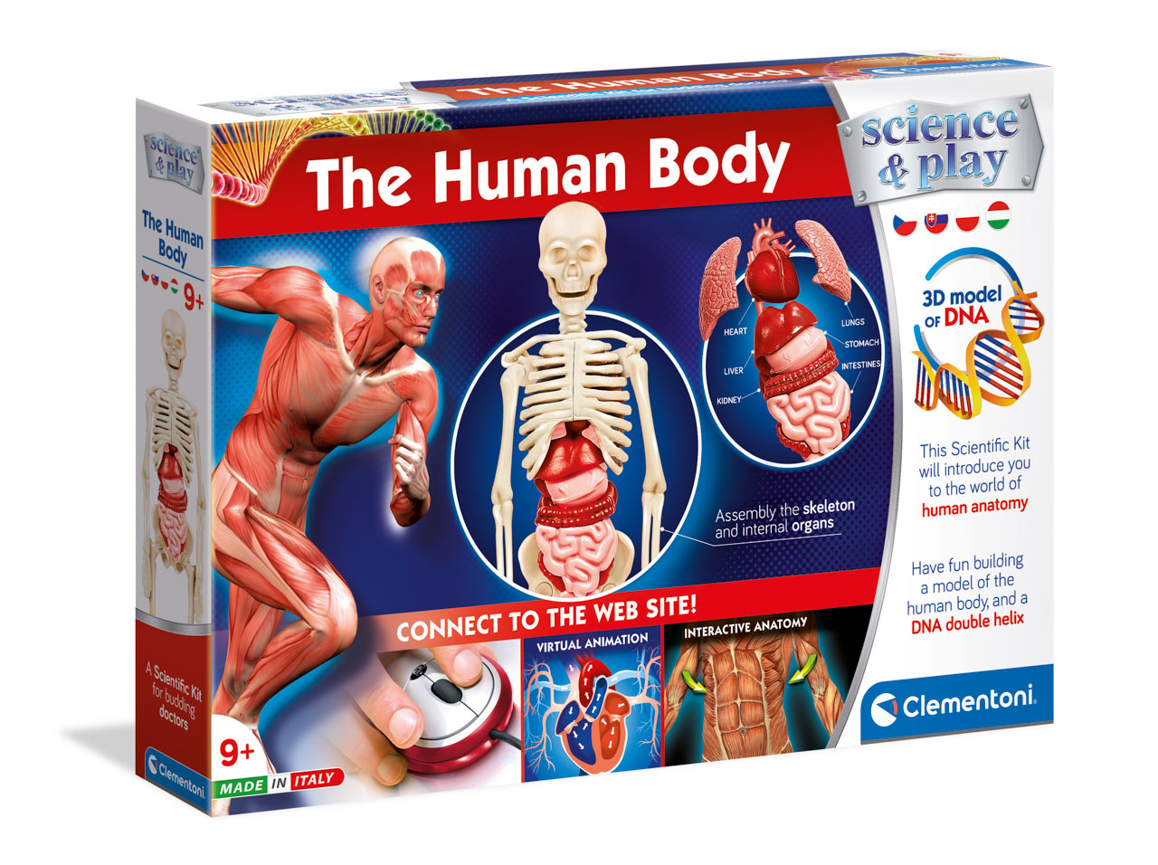 Ľudské telo