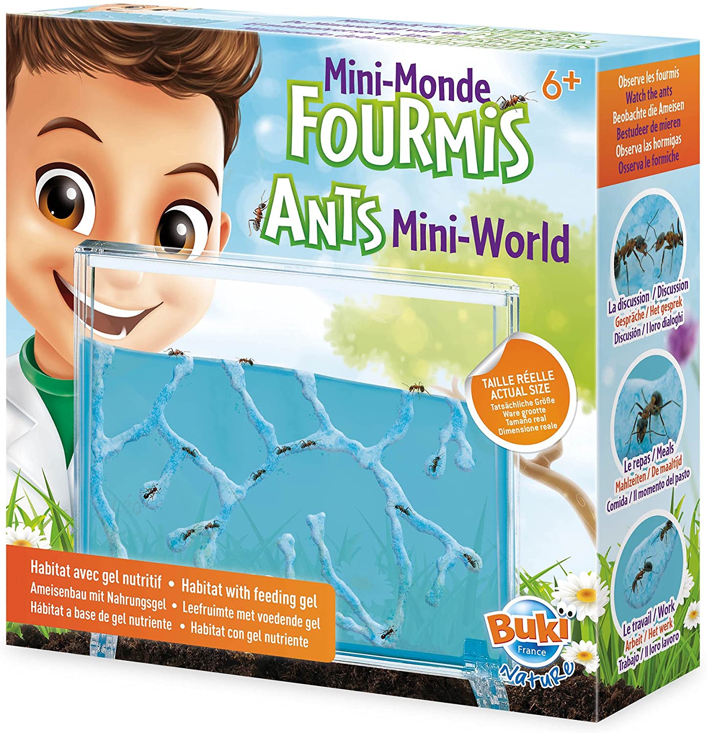 Buki - Akvárium pre mravce